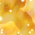 ワンピースのメリー号との別れの回の動画を無料視聴する方法は?原作何巻でアニメは何話?